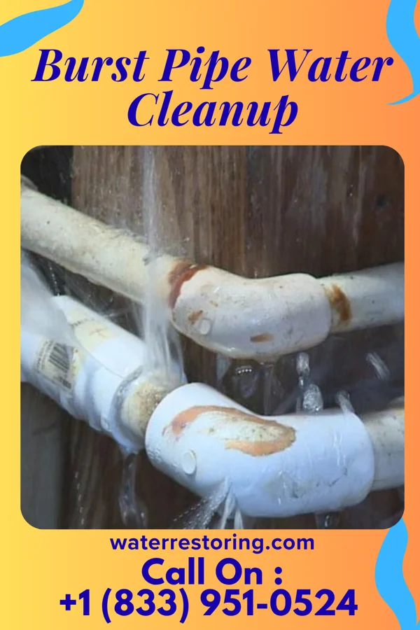 Burst Pipe Water Cleanup in Sundown, MO