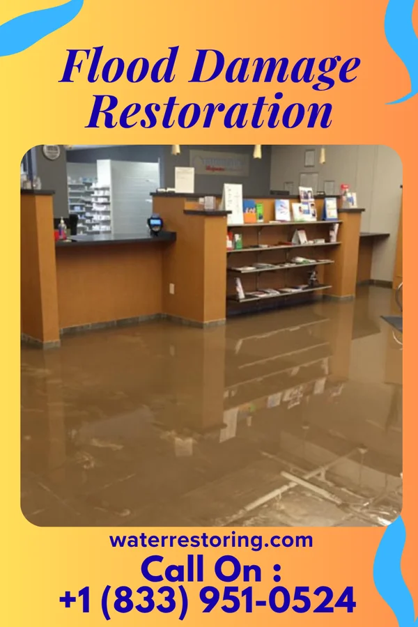 Flood Damage Restoration in Sundown, MO