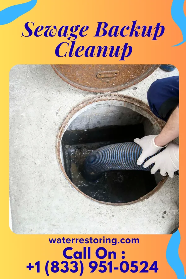 Sewage Backup Cleanup in Sundown, MO