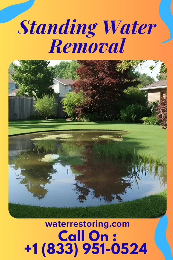 Standing Water Removal in Sundown, MO